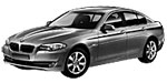 BMW F10 P251B Fault Code